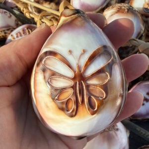 Handcrafted Shell Ornaments