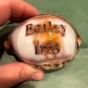 Name On A Shell – 2 Lines