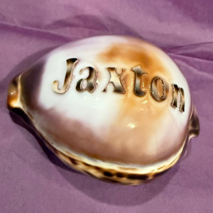 One Name On A Shell